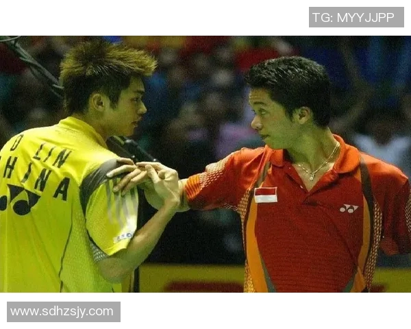 林丹与陶菲克巅峰对决高清回顾两位羽坛传奇的精彩瞬间与经典时刻